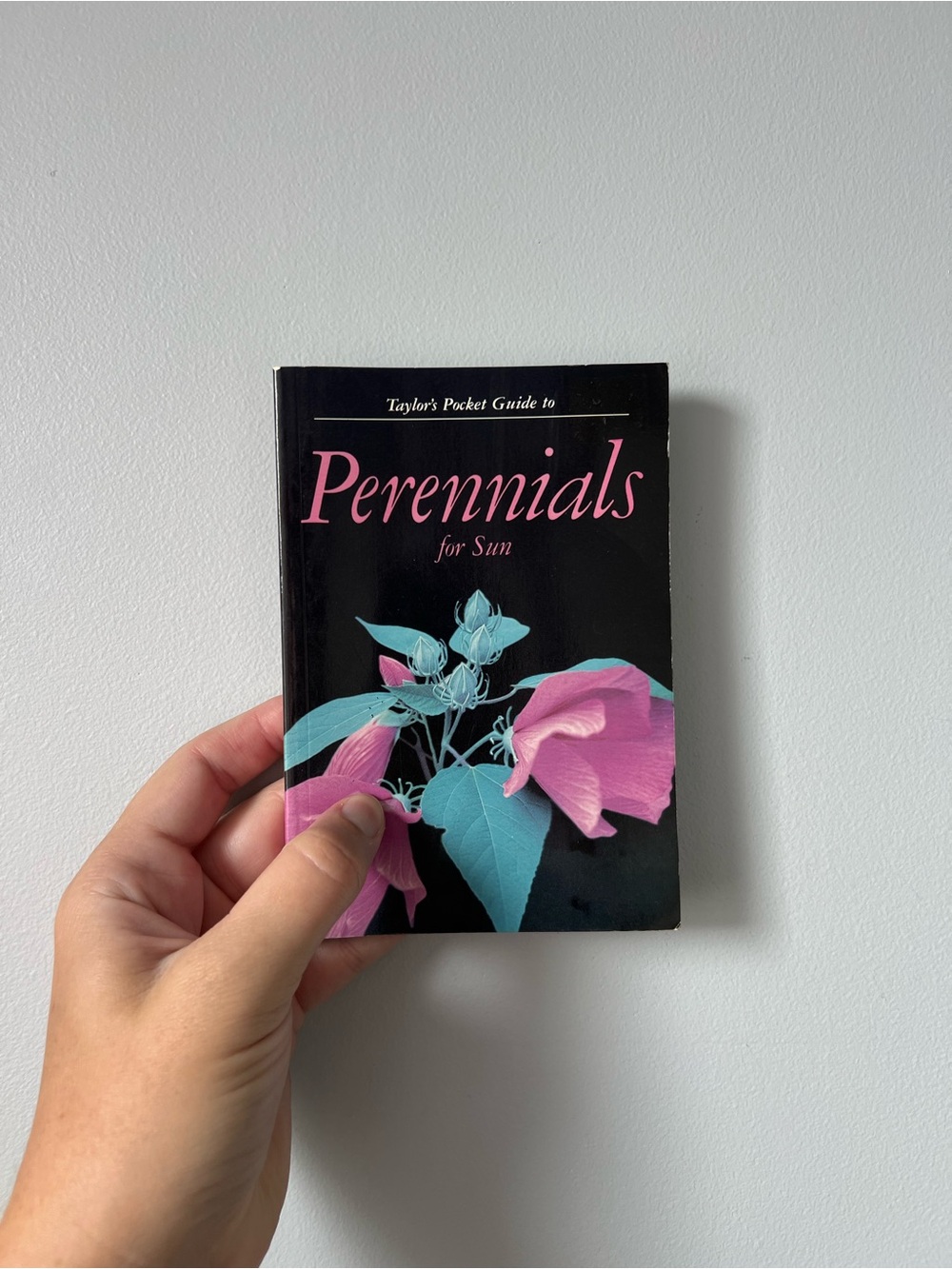 Vintage Softcover: Perennials for Sun